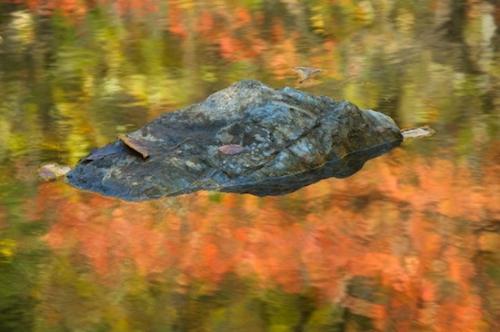Abstract;Abstractions;Autumn;Boulder;Brook;Chatsworth;Chattahoochee National Forest;Creek;Fall;Foliage;Geological;Geology;Georgia;Holly Creek;Holly Creek Preserve;Leaf;Leafy;Leaves;Patterns;Reflection;Reflections;Rivulet;Rock;Rock Formations;Rocks;Shapes;Stone;Stones;Stream;Streamlet;Striation;Textures